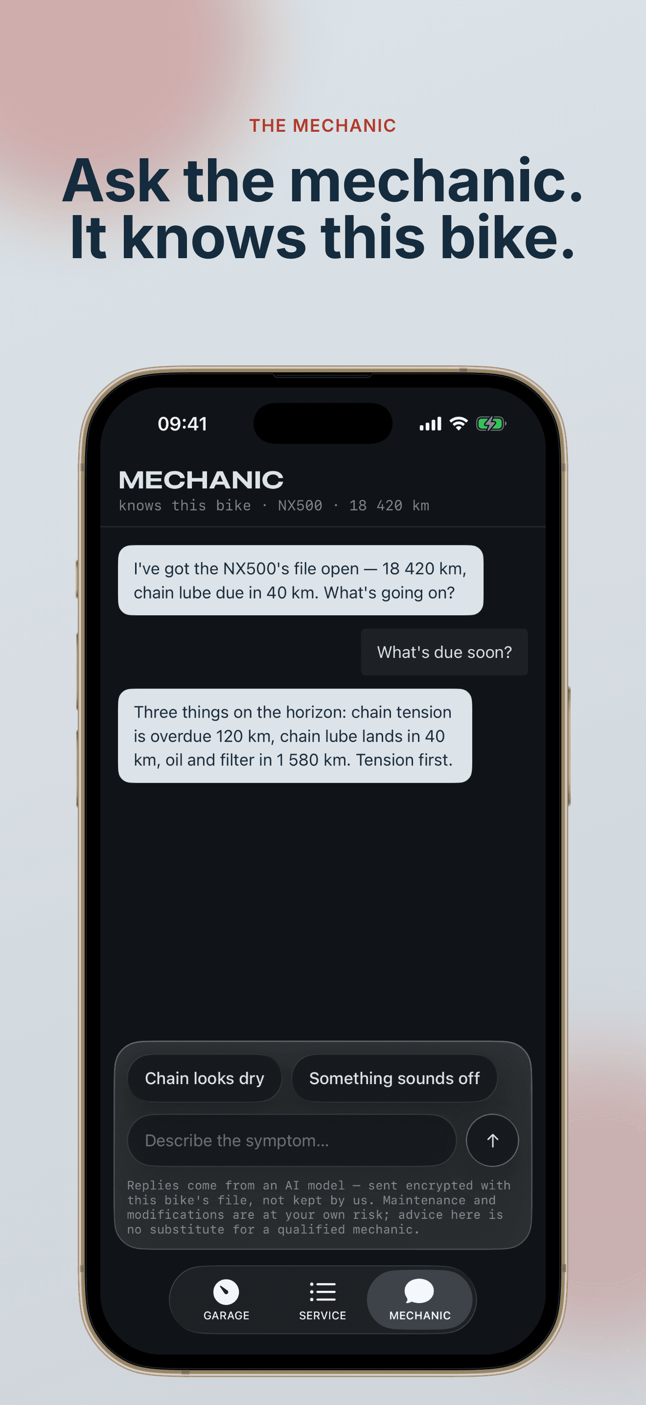 Mechanic chat listing what is due, quoting the bike's own countdowns